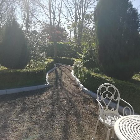 Killenard Self Catering Accommodation Buitenkant foto