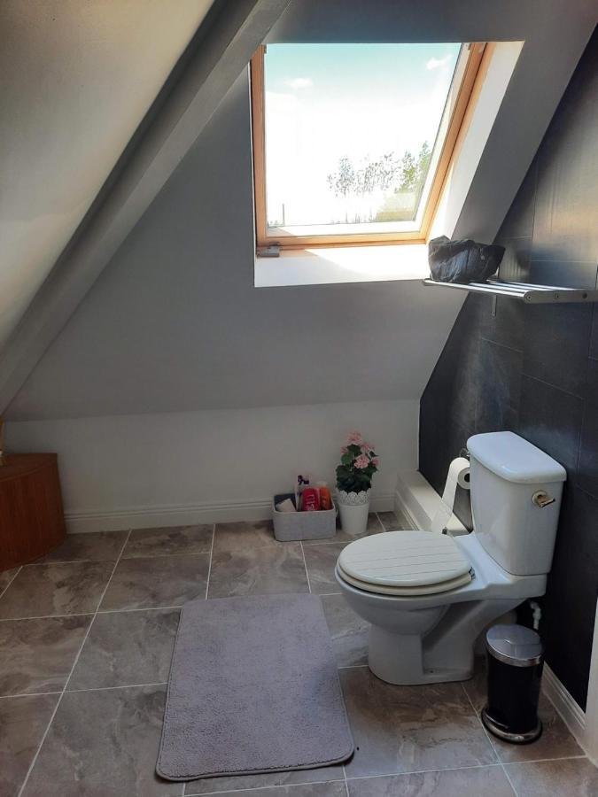 Killenard Self Catering Accommodation Buitenkant foto