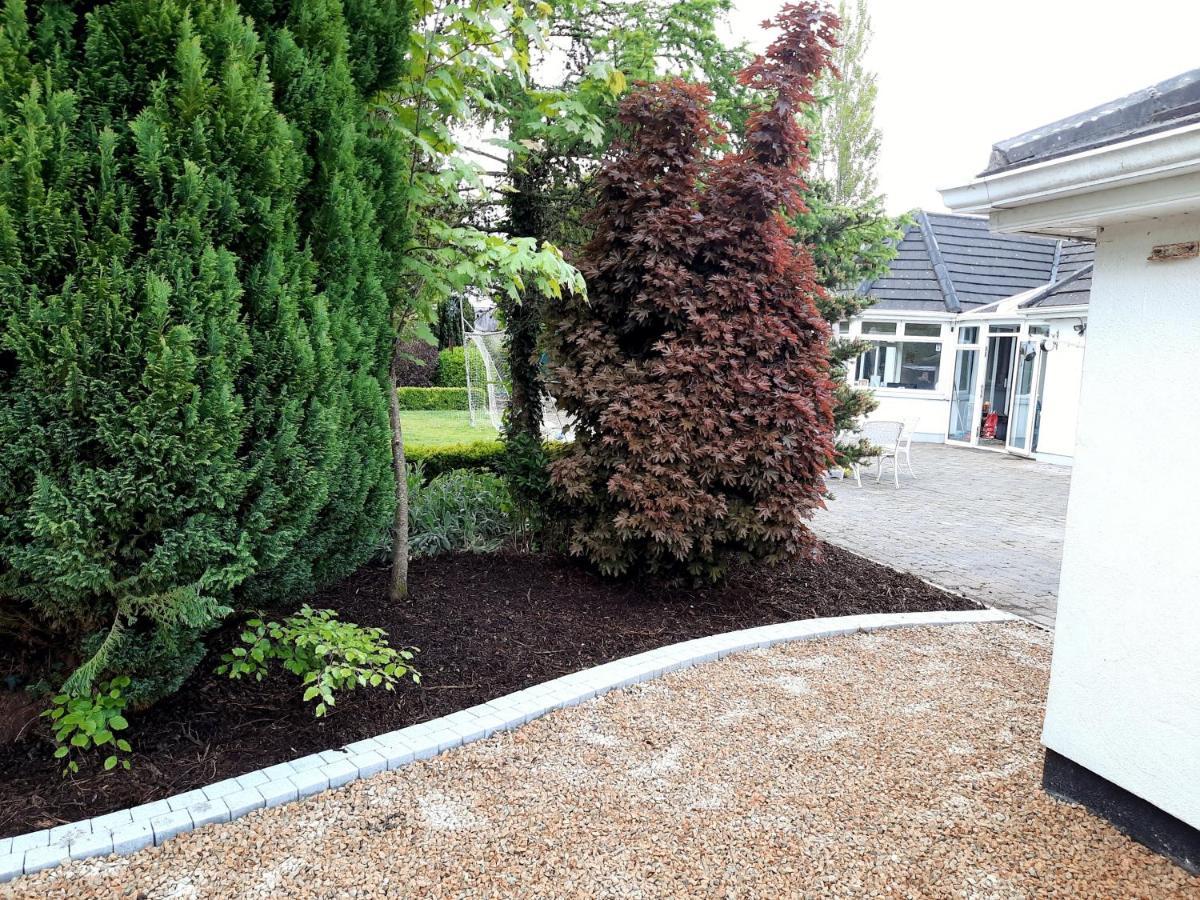 Killenard Self Catering Accommodation Buitenkant foto