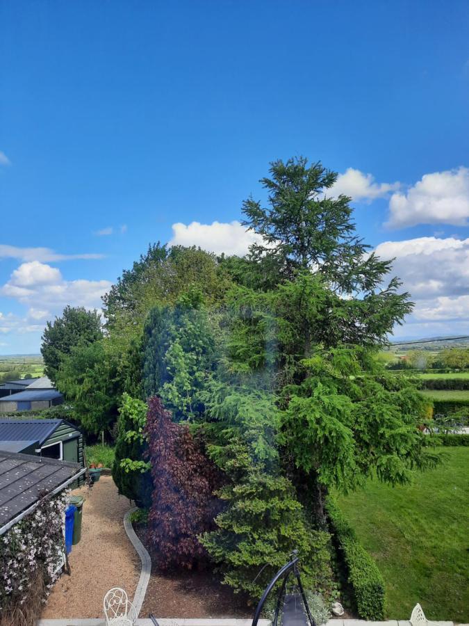 Killenard Self Catering Accommodation Buitenkant foto